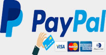 Make Payment instantly through PayPal an ultra secure method of online payments