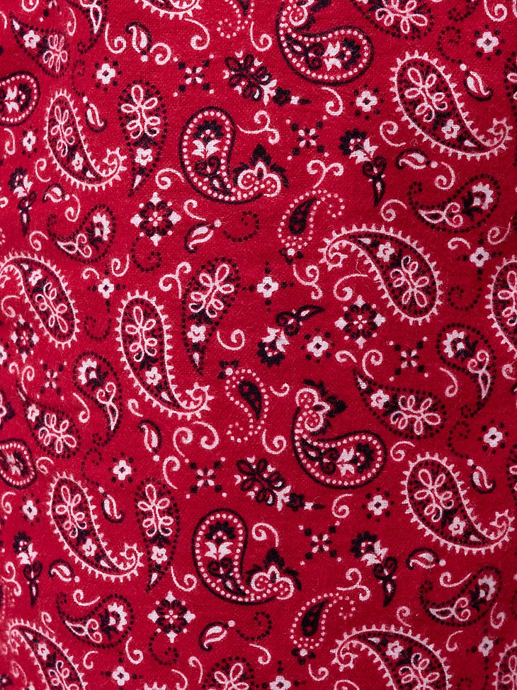 Men's Printed Fleece Pajama Pant in Red